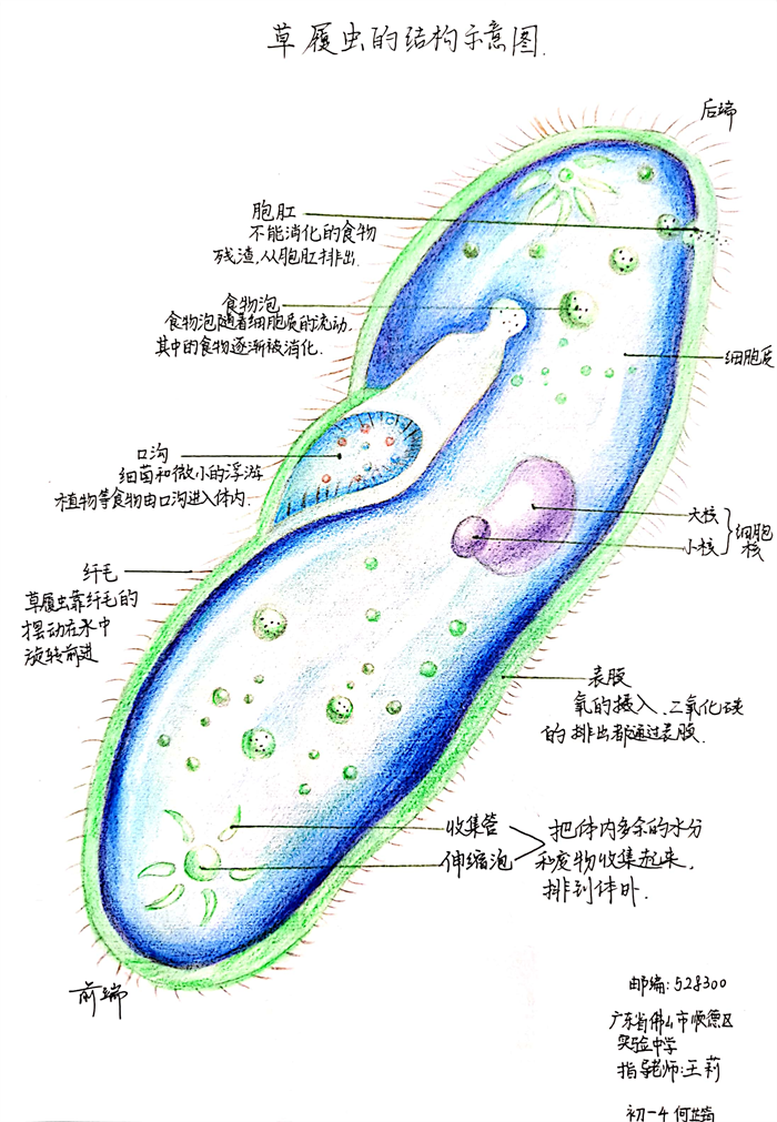 圖片52 - 副本.png