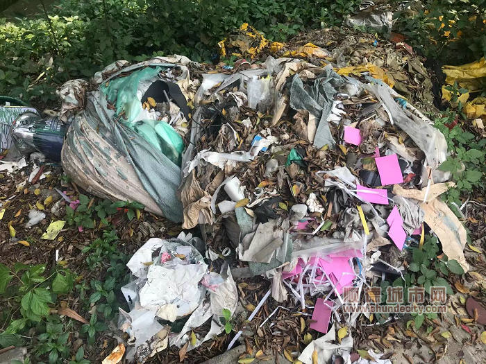 一般工業固體廢物（約5kg）丟棄在路邊，原本是5元的處置費，變成了10萬元的罰款。.jpg