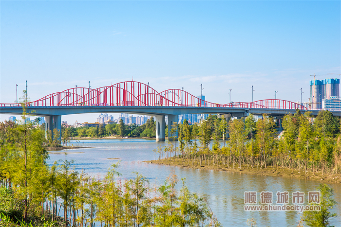 高樓林立，鋪路架橋，桂畔海河卻依舊保留原始水鄉魅力 順德城市網攝影俱樂部“五個輪”攝.jpg