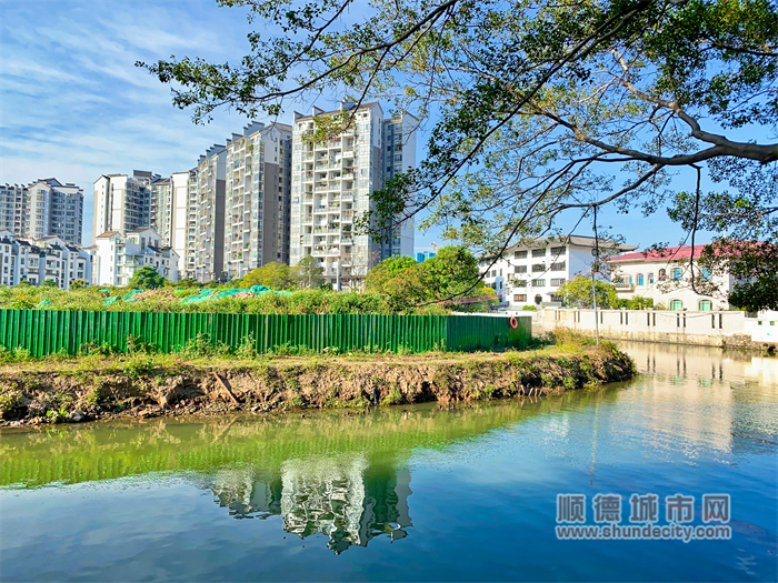 細海河水清岸綠，是人們休閑的好去處。（攝順德城市網攝影俱樂部“Leying”）.jpg