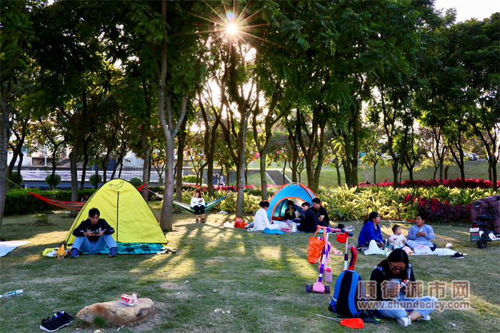 君蘭河堤公園 在草坪上體驗愜意的周末時光。（順德城市網攝影俱樂部“陽光與鹿”攝）.png