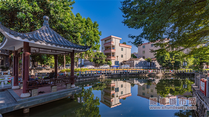 仙涌村持續優化水環境，扮靚美麗村居。（順德城市網攝影俱樂部“馬彥良”）.jpg