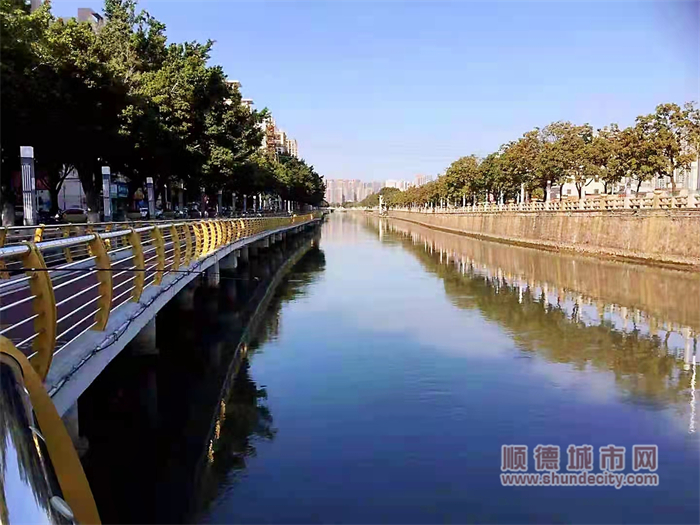 英雄河：兩旁的樹木為綠道遮陰，在繁華的街道中獲得一份閑適。(順德城市網攝影俱樂部“楊峻”攝).jpg
