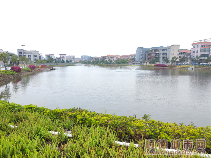 4.河涌美景美不勝收.jpg