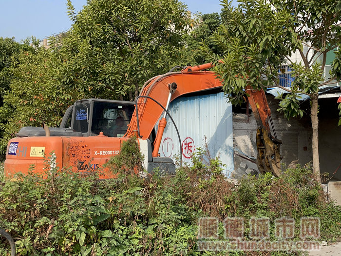 本次行動拆除震塘地塊違建960平方米，田心古橋對面地塊的違建1000多平方米.jpg