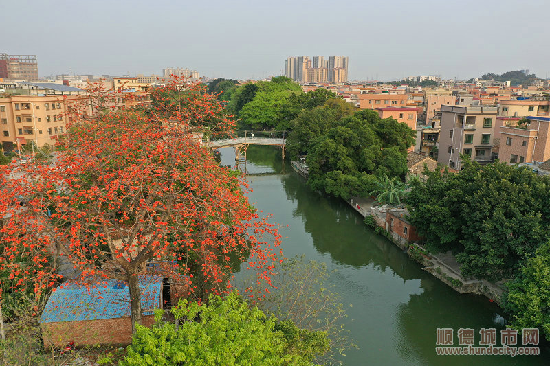 建設(shè)風(fēng)景如畫的龍江。（李海廉?dāng)z）.jpg