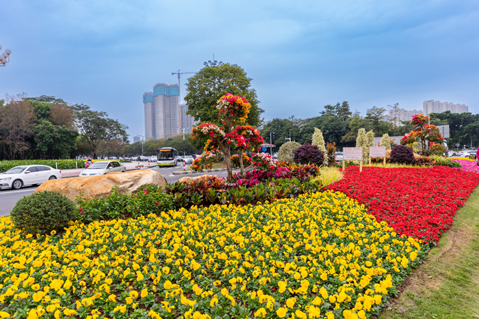 馬彥良.jpg