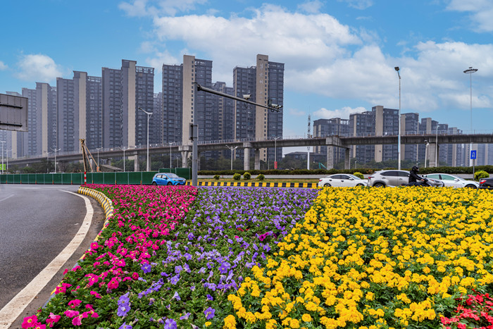 順德城市網(wǎng)攝影俱樂(lè)部“馬彥良”攝1_副本.jpg
