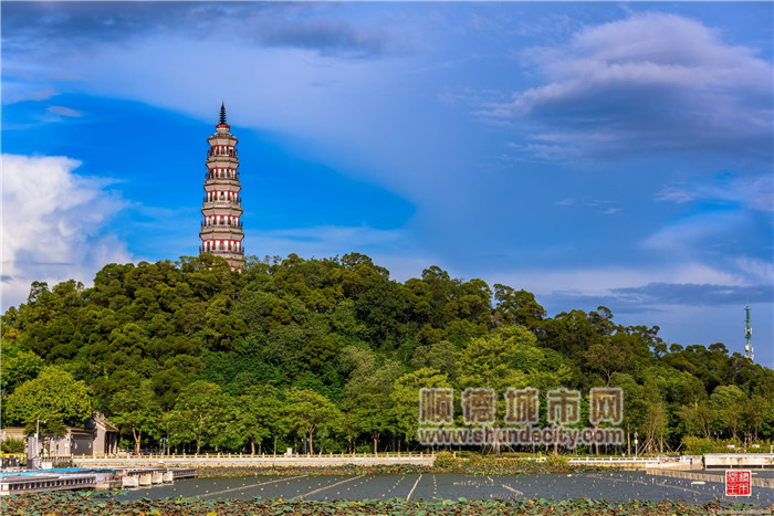 2、順峰山公園爬山——馬彥良.jpg