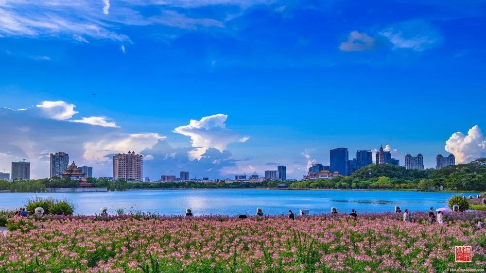 順峰山公園青云湖。順德城市網攝影俱樂部“馬彥良” 分享.jpg