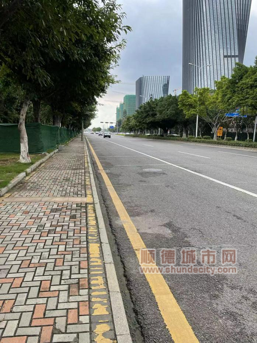 專用道建設前.png