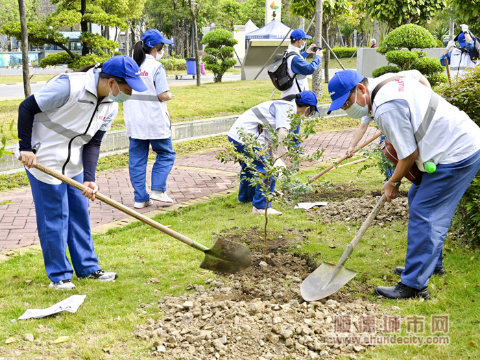 2植樹現場，大家忙得不亦樂乎。.jpg