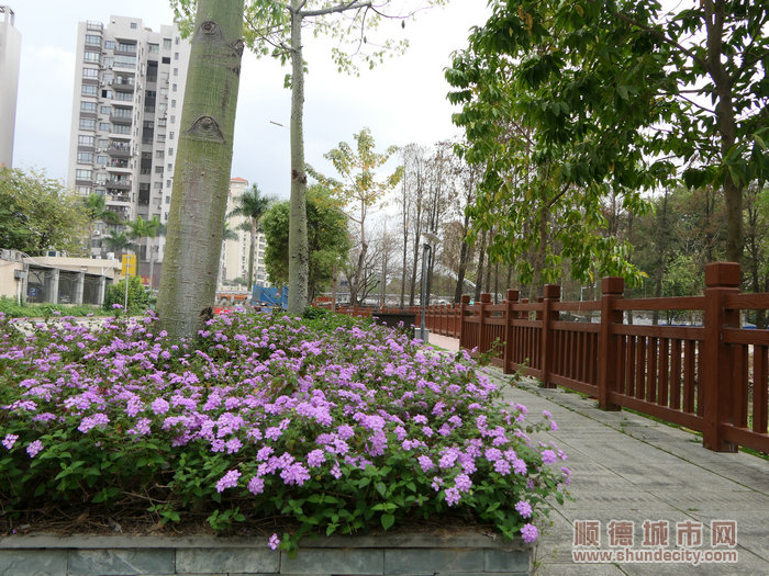 改造過后的華安涌鮮花遍地，水清岸綠，獲得群眾一致好評。.jpg