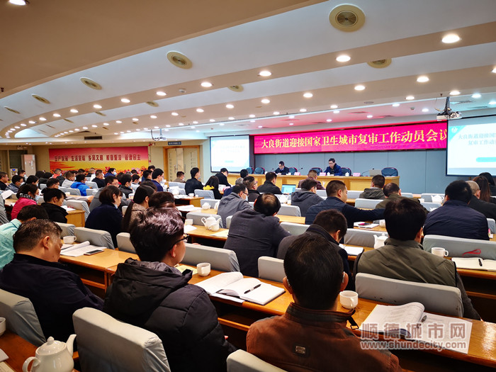 大良街道召開鞏衛(wèi)復審迎檢工作動員會議.jpg