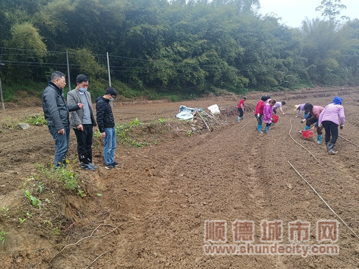 微信圖片_20220402131042_副本.jpg