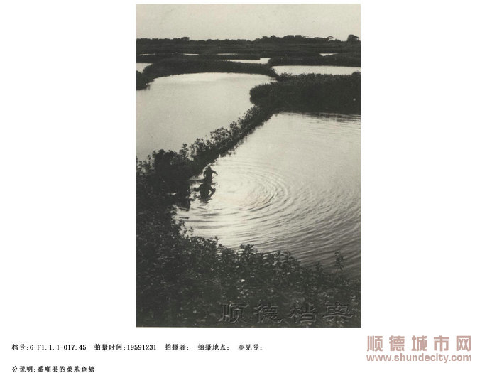 番順縣的桑基魚塘.jpg