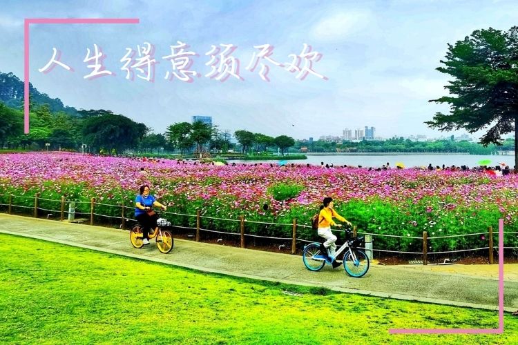舒適！一不小心就掉進順德悠閑自得的懷里