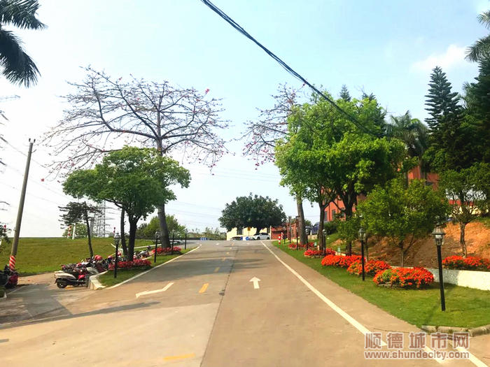 1干凈如洗的道路地面。.jpg
