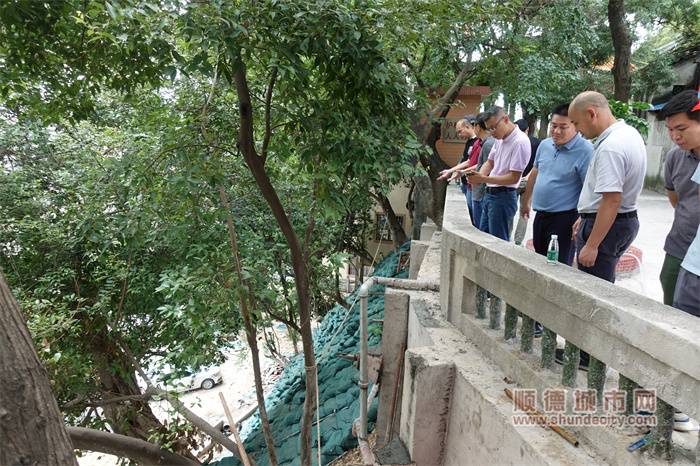 附圖2：工作組檢查倫教街道雞洲山崗西側治理工程.jpg