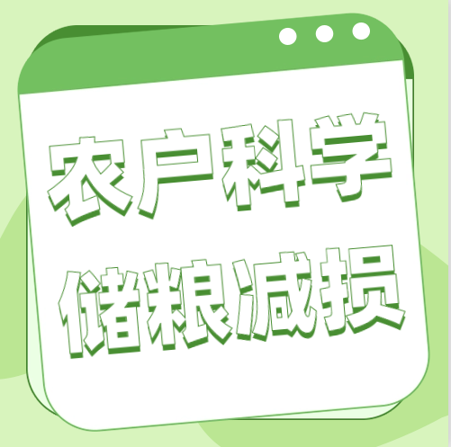 糧食和物資儲備科技周 | 農戶正確儲糧減損，可以這樣做→