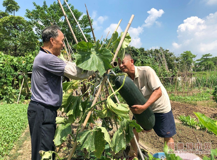 社區營造深入村居，村民間的溝通交流更多了。.jpg