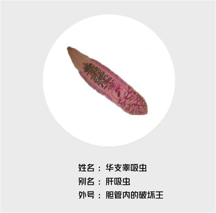 微信圖片_20220613100159.jpg