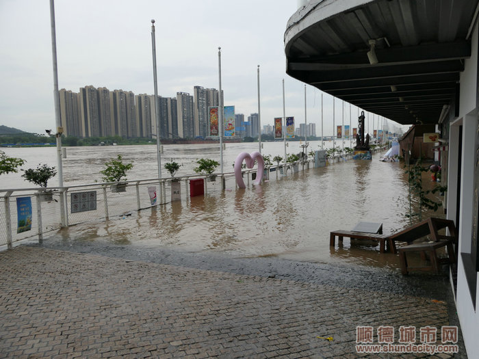 容桂漁人碼頭沿河商家已在工作人員指導(dǎo)下進(jìn)行疏散撤離。.jpg