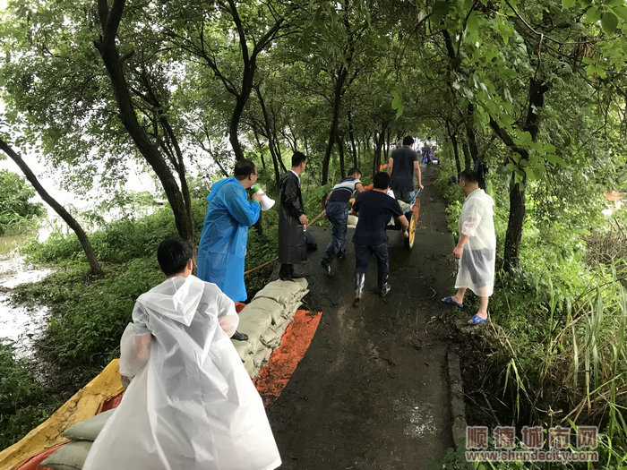 抗洪搶險救災(zāi)工作中。.jpg