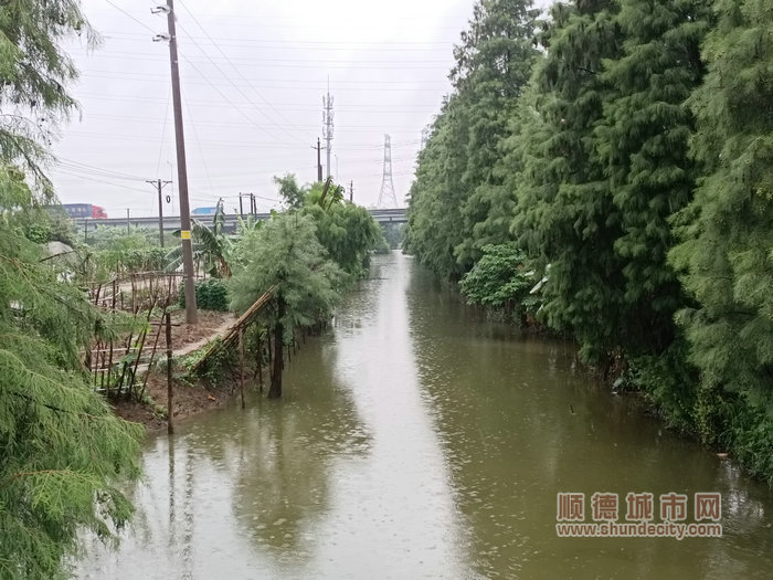 清理后河涌水質(zhì)清澈.jpg