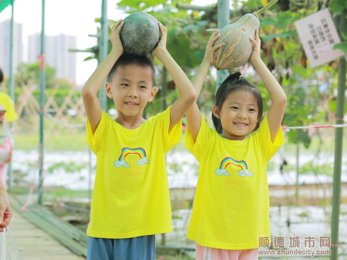 孩子們采摘香芋南瓜。.jpg