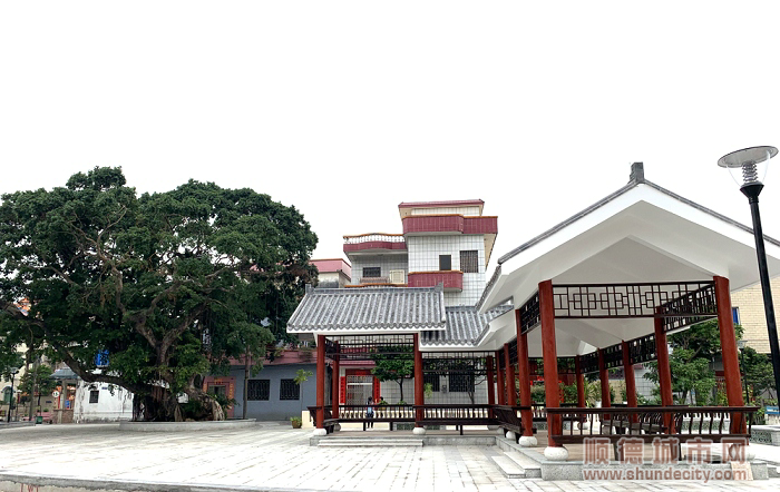 均安沙浦榕樹公園。.png