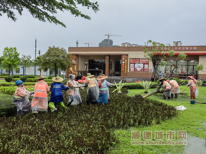 德民路健康主題公園2_副本.jpg