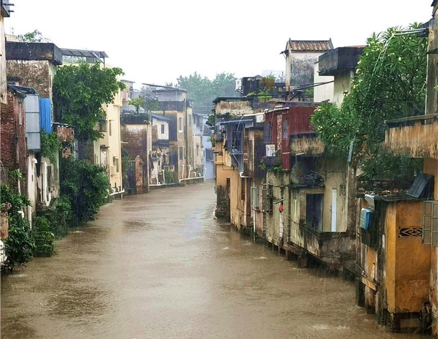 雨淋漓，容桂情懷老街更“情懷”