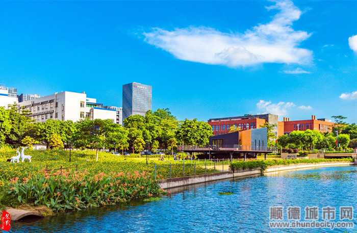 宜居北滘新城。（順德城市網攝影俱樂部“慧影”攝）.jpg