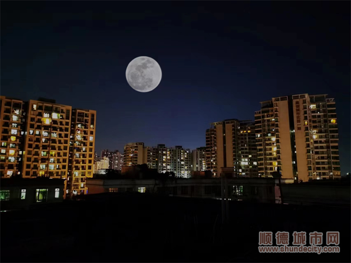 李紅峰.jpg