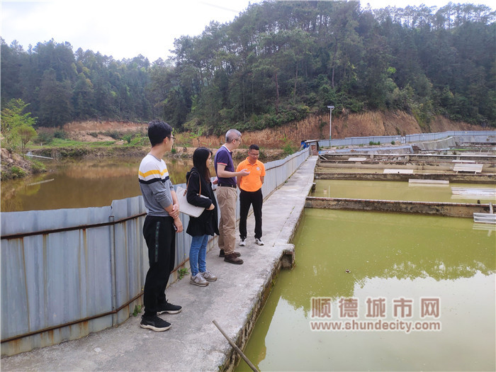 梁翠文與工作隊實地考察詩洞鎮健營村黃沙鱉養殖基地_副本.jpg