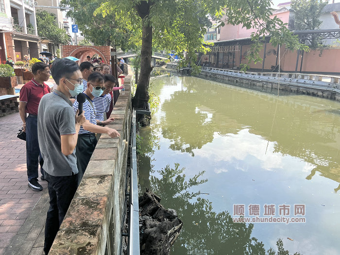 老干部們參觀龍華大涌.jpg