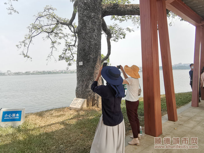 百里芳華江邊美景引來(lái)人大代表拍照留念。.jpg