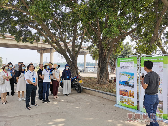 人大代表們視察倫教公園三洲堤段提升工程情況。.jpg