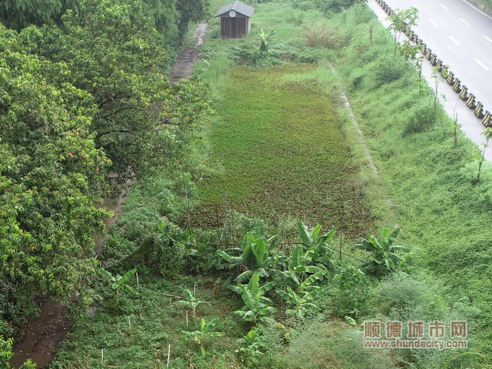 配合拆除整改后情況。.jpg