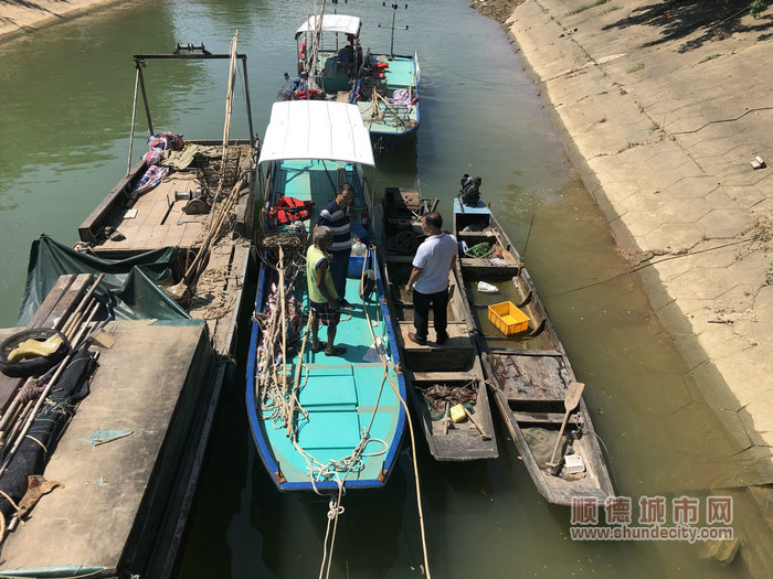 圖片九：鎮農辦在臺風到來前對鎮內漁船、涉漁鄉鎮船舶進行安全生產檢查，通知相關船舶駛入內河涌，并確認所有人員已經全部回岸避風。.jpg