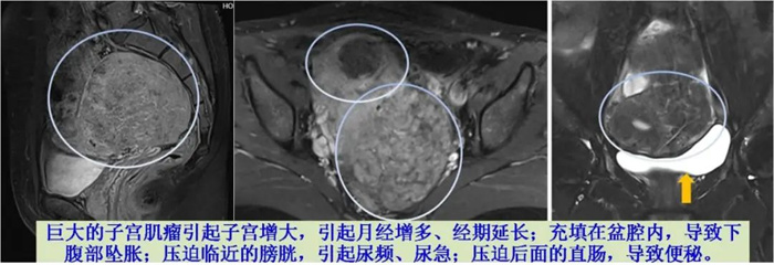 微信圖片_20220831090719_副本.jpg