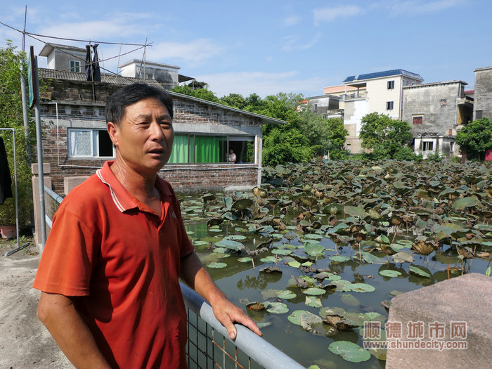 村民李滿圓希望角塘也能像周邊的公園一樣，通過種植荷花改善水環境。.jpg
