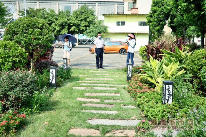 采風團成員第一站：樂從大墩村。.jpg