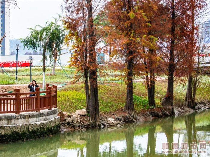 均安美岸成效顯著，沿線風景如畫。.jpg