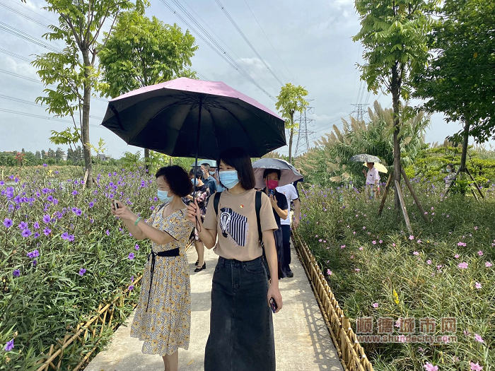 農(nóng)業(yè)養(yǎng)殖_副本.jpg