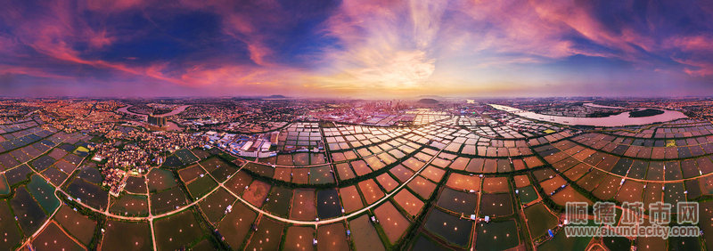 順德水鄉(xiāng)美景。.jpg