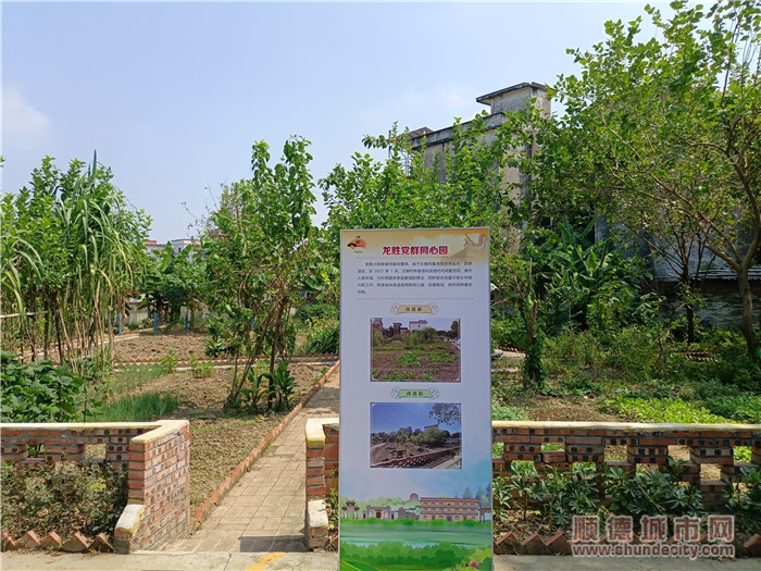 古朗村“同心園”。.jpg