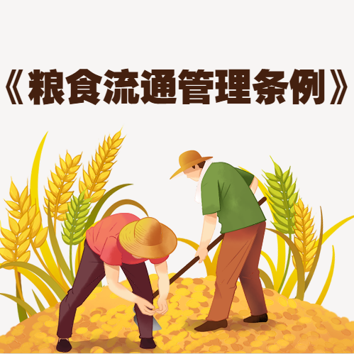 糧食安全宣傳周 | 權(quán)威解讀帶你了解《糧食流通管理條例》