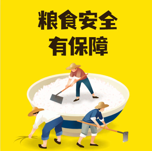 糧食安全宣傳周|《廣東省糧食安全保障條例》讓“米袋子”更結(jié)實